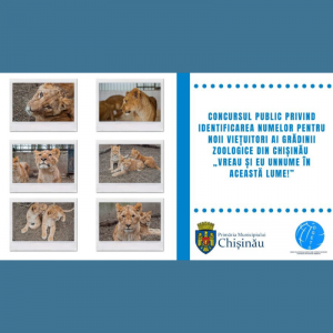 Concursul public privind identificarea numelor pentru noii viețuitori ai Grădinii Zoologice din Chișinău „Vreau și eu un nume în această lume!”