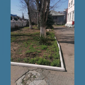 Curățenie generală de primăvară